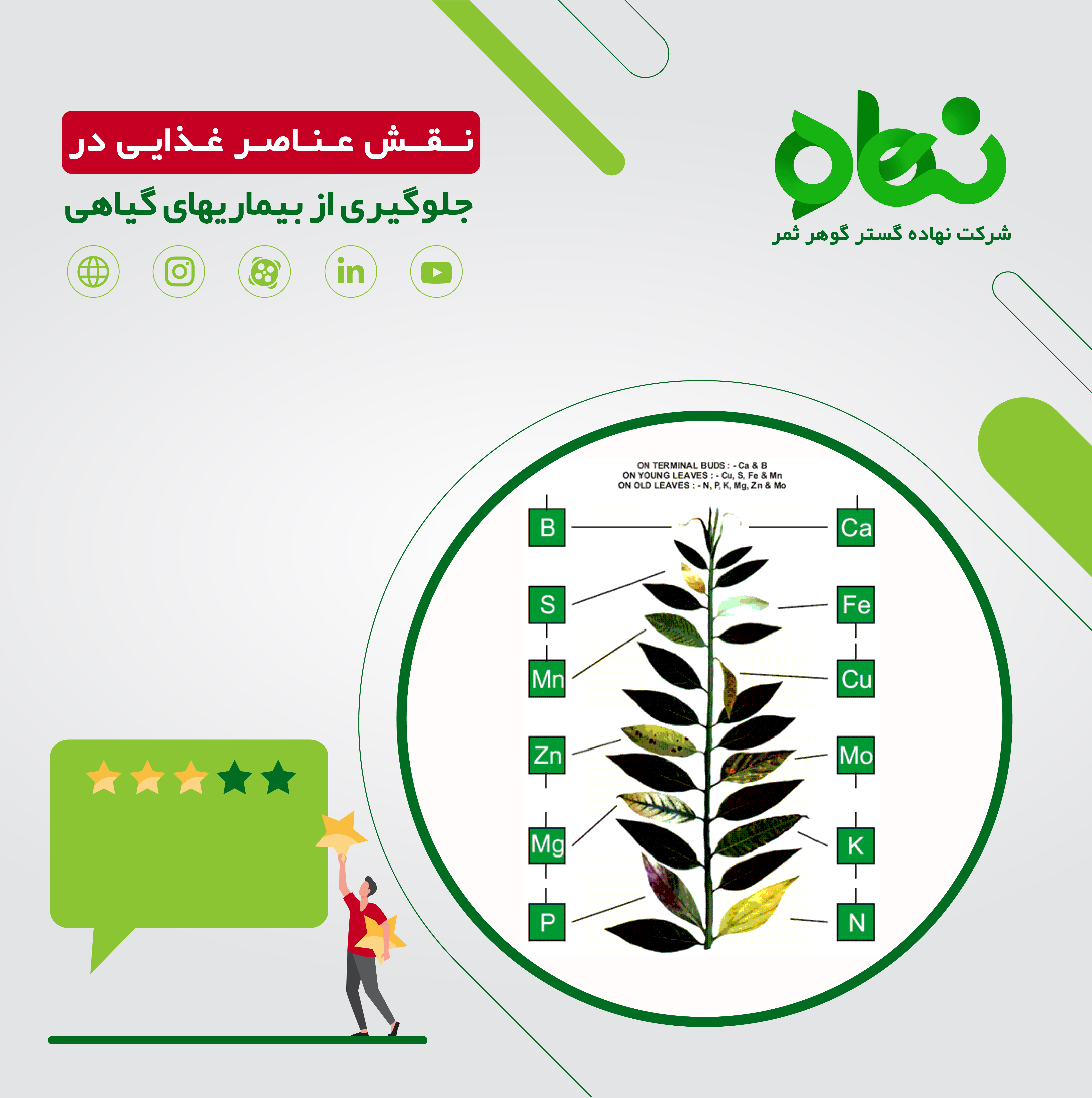 نقش عناصر غذایی در جلوگیری از بیماری های گیاهی